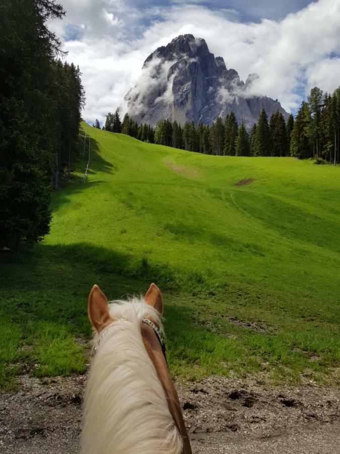 Hotel Pozzamanigoni Selva di Val Gardena Exterior foto